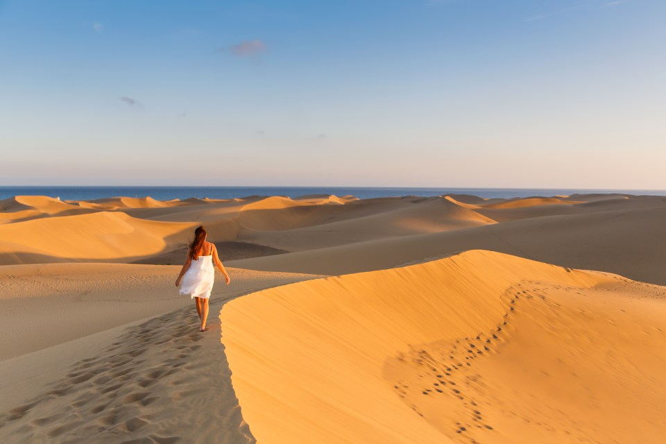 Gran Canaria is home to more than just mountains and sand dunes