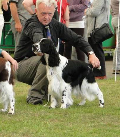 Shamed Crufts dog show judge Gareth Lawler