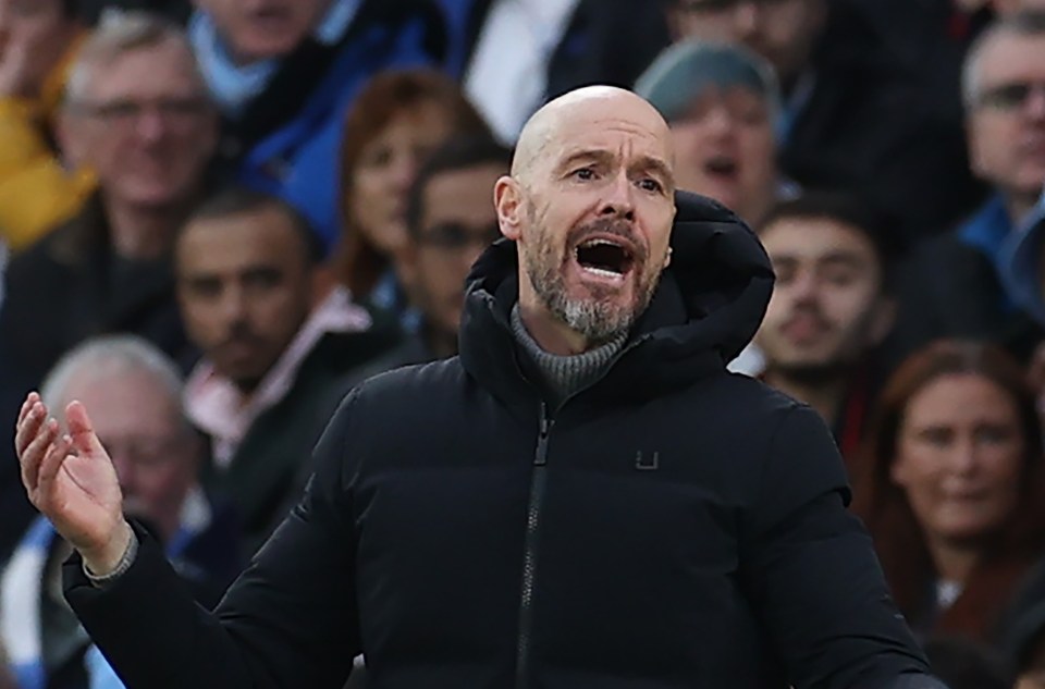 Erik ten Hag could be sacked in the summer