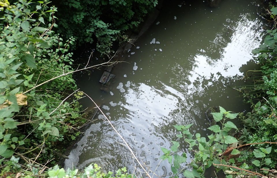 Southern Water was fined over leaking raw sewage into a river and killing thousands of fish