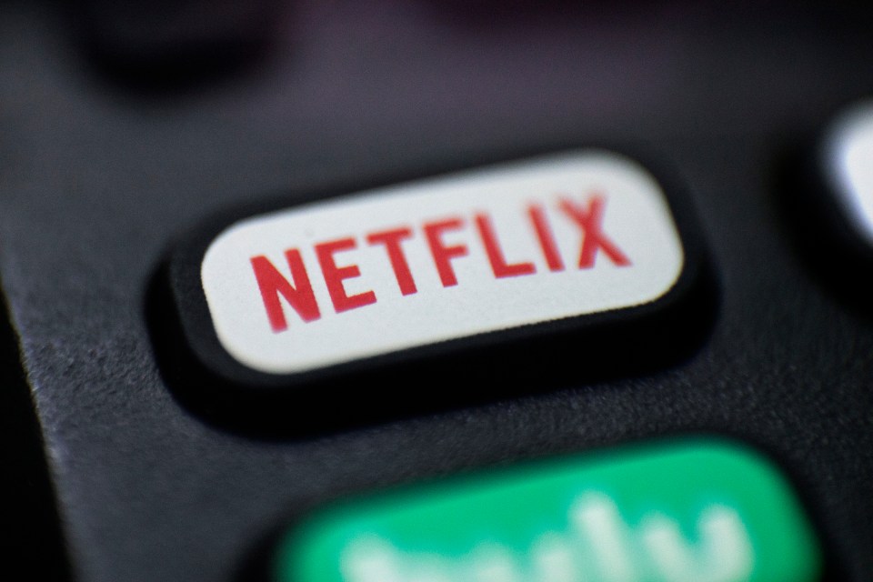 Netflix said it will be "testing" the ability for Standard with Adverts account owners to buy an extra member slot with ads at a lower price point