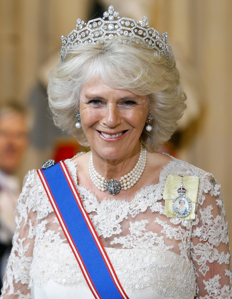 Queen Camilla was branded as a ‘villain’ by Prince Harry in his controversial book Spare