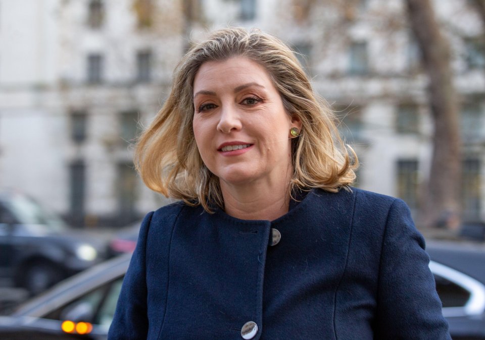 Tory rebel Penny Mordaunt has an eye on Rishi Sunak's job