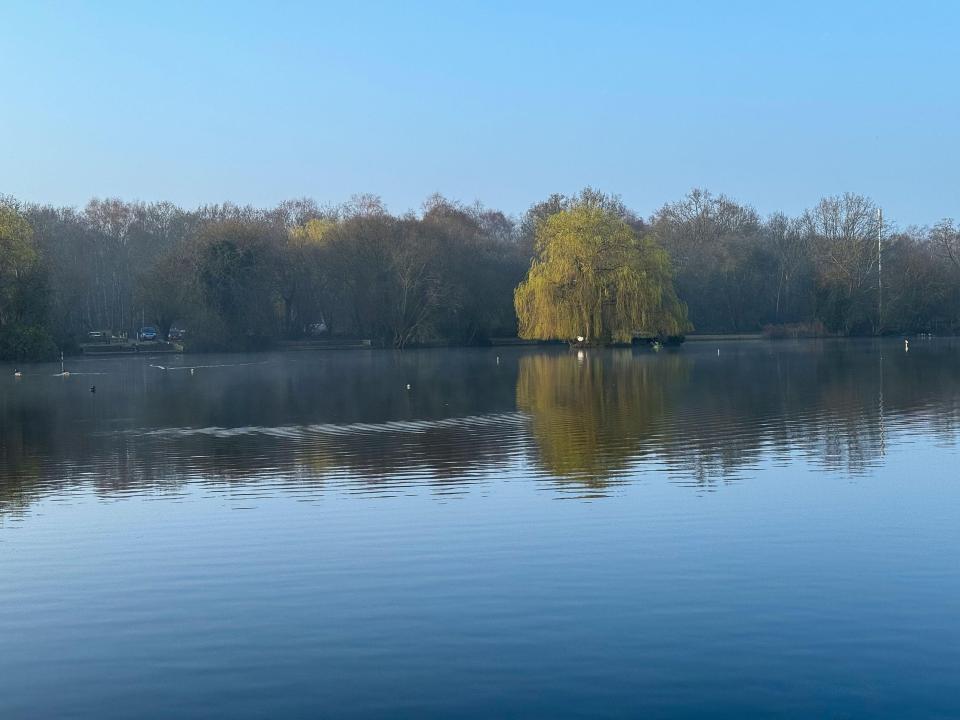 The first signs of Spring have hit Britain as there was no frost on Monday