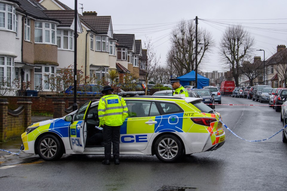 This month, Bajram Luli, 27, was stabbed to death in Greenford, West London, after having just moved to the UK