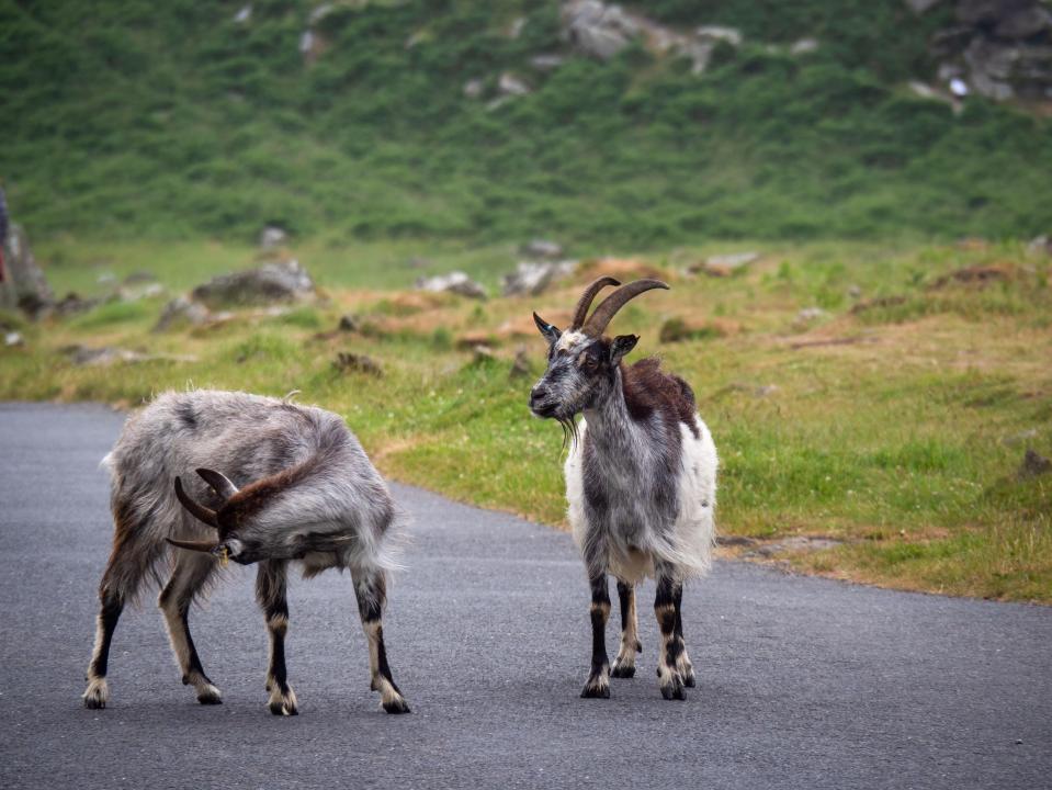 The two towns are known as 'Little Switzerland' because of their scenery