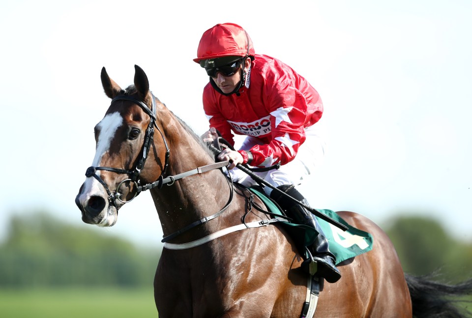 Spirit Dancer gaver Ferguson the 'best moment of his life' as a racehorse owner