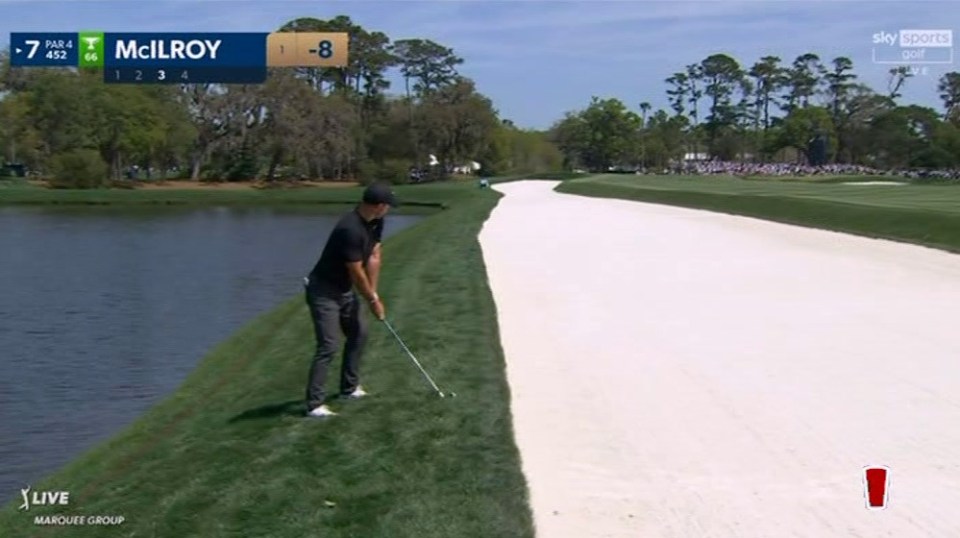 McIlroy eventually played his third shot from the rough