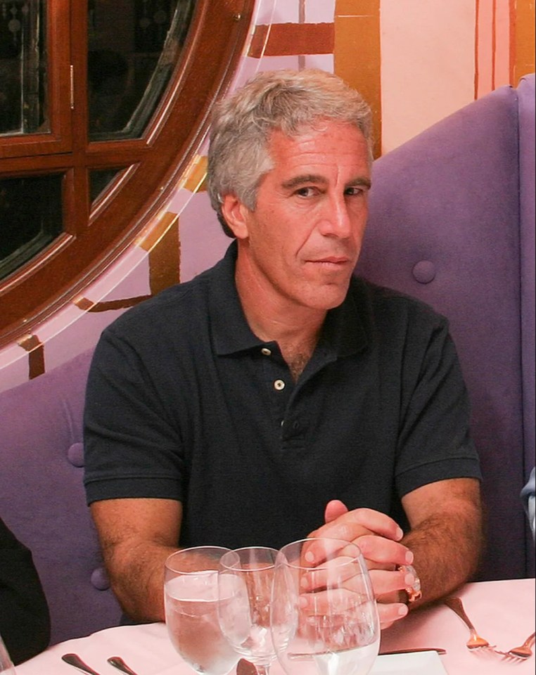 Epstein had been sentenced to 18 months behind bars but less than a year later was serving his time from his mansion