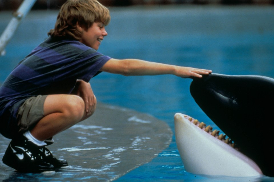 Jason James Richter starred as orphan Jesse who freed Willy the orca