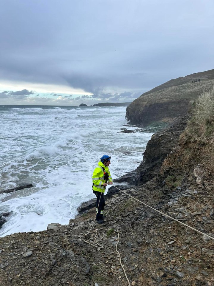 The coastguard said they located the animal but it was too dangerous to rescue it