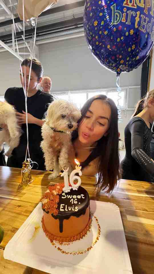 Bond girl Ana de Armas celebrated her dog's sweet 16 — impressive, given that he'd be turning 112 if he was a human