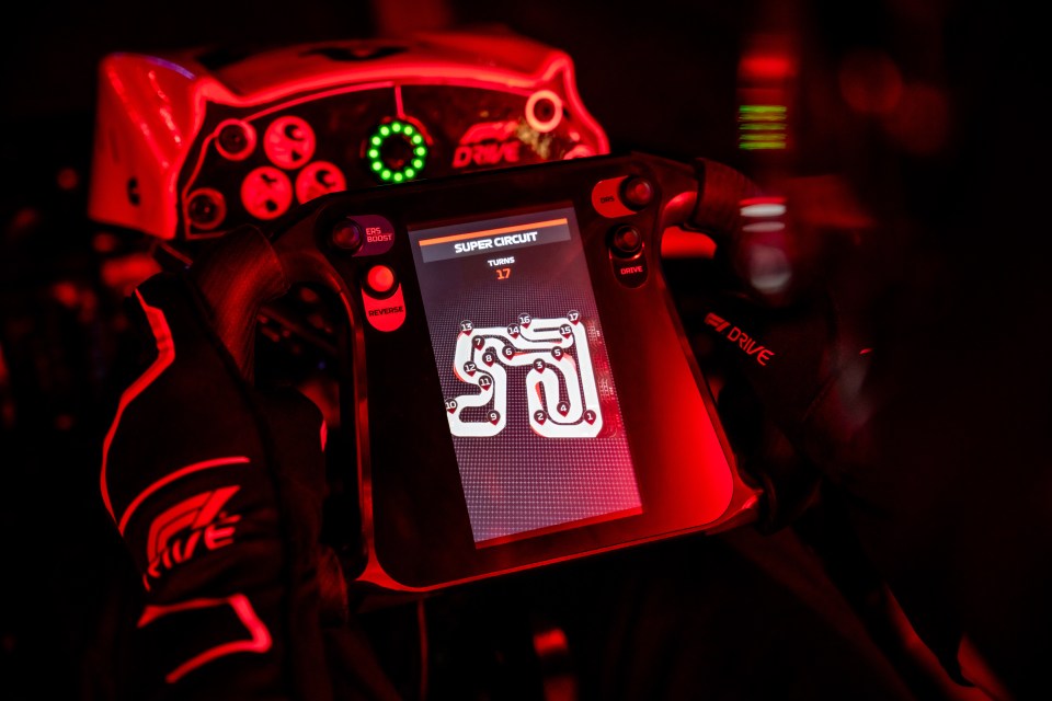 The steering wheels of the karts feature LED screens