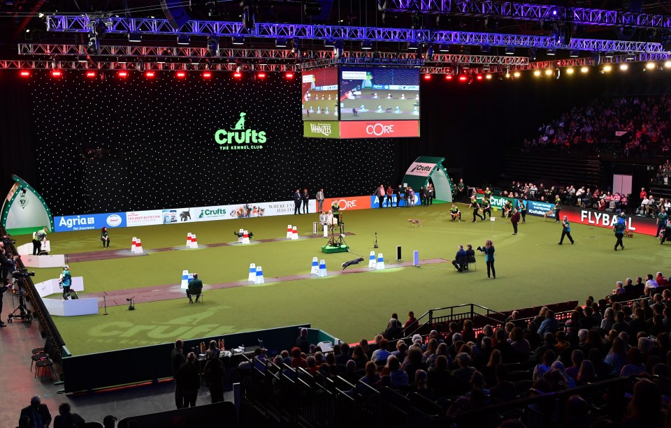 Crufts is held at the National Exhibition Centre in Birmingham