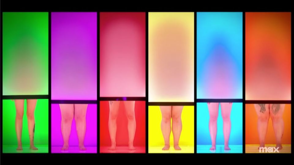 A man or woman (fully clothed) chooses from six naked hopefuls who are concealed within different coloured pods