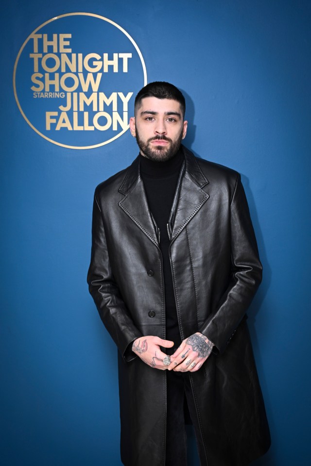 Zayn Malik, 31, used the show as a platform to promote his new single