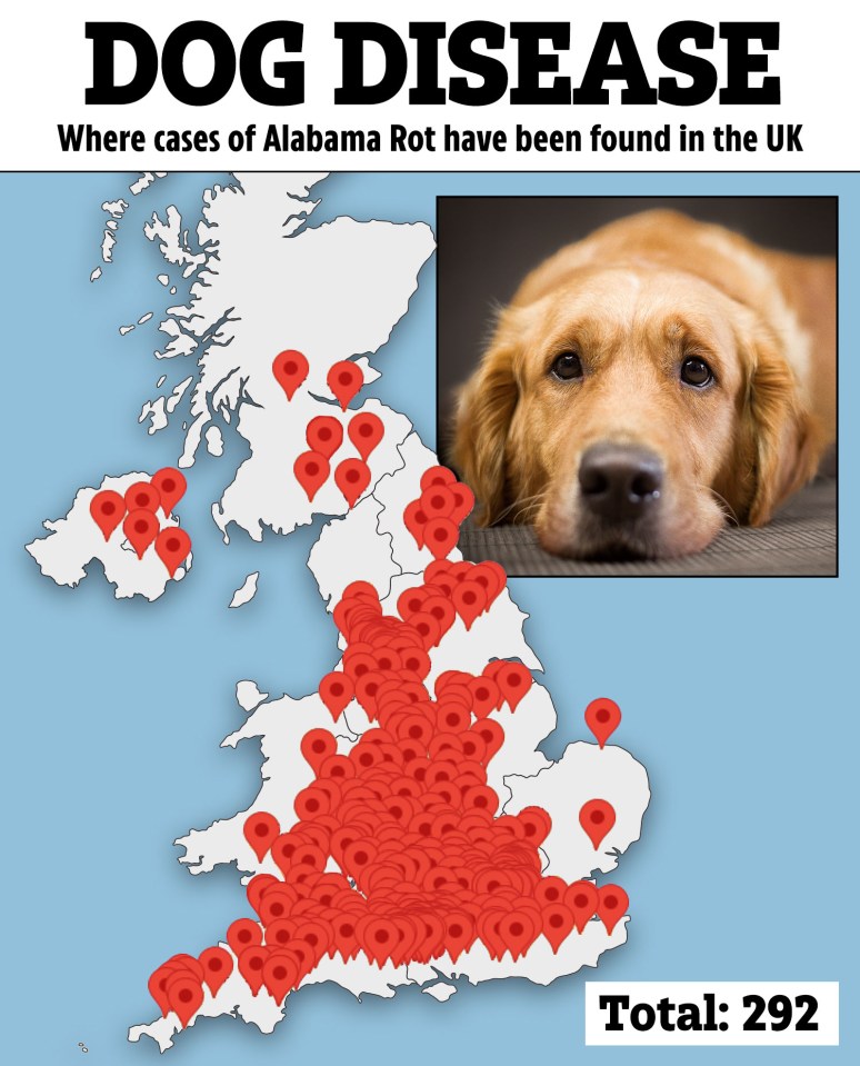 There have been just under 300 cases in the UK