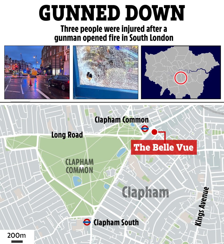 The incident took place in The Belle Vue pub in Clapham Common