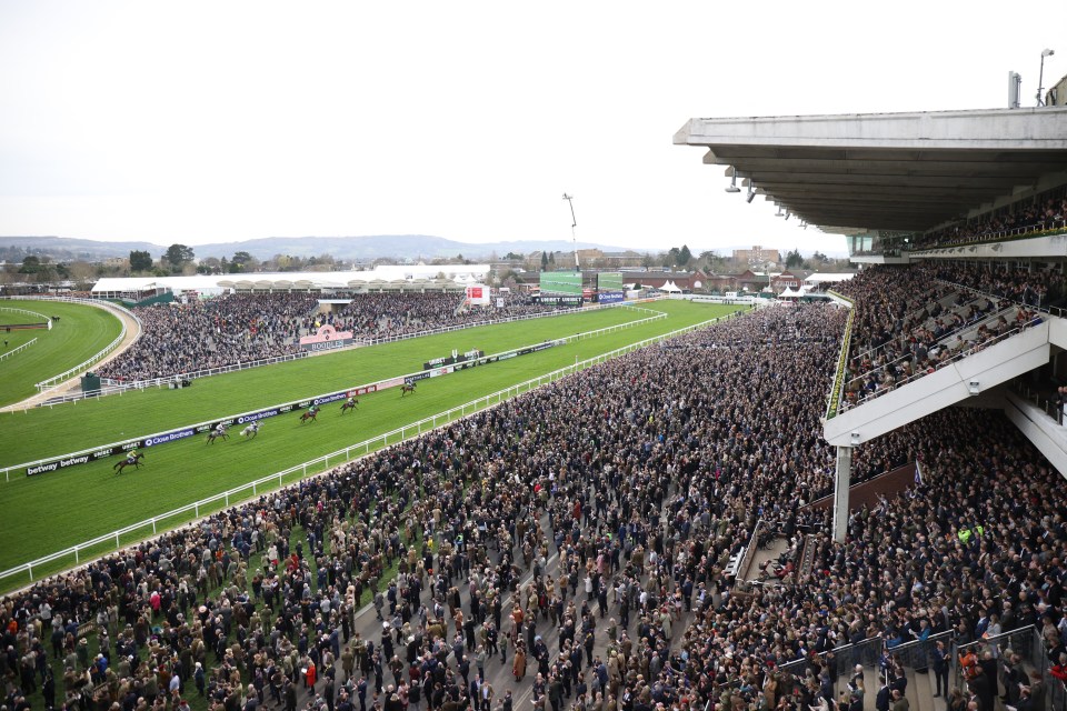 The Cheltenham Festival starts on Tuesday