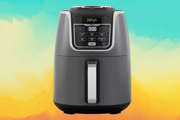 ninja-air-fryer-max-review