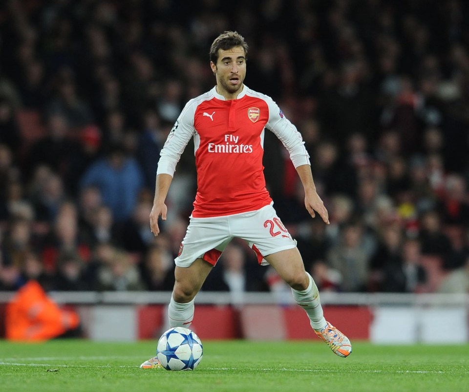 Mathieu Flamini has gone from being an Arsenal star to CEO of a biochemical company