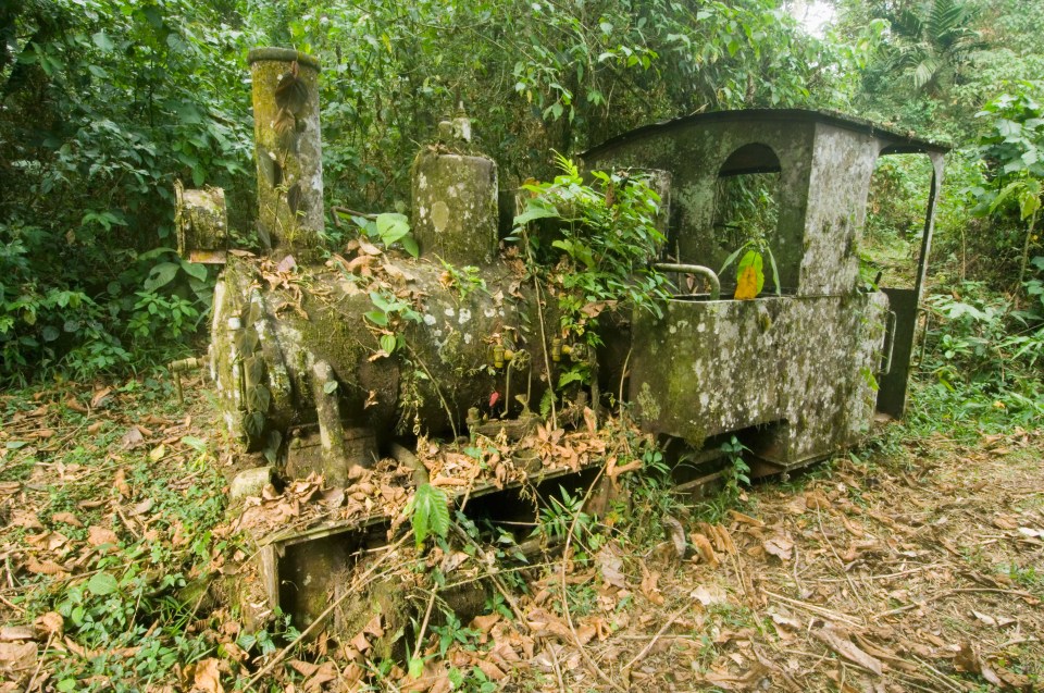 Ruins of the Espiritu Santo (Holy Ghost) Gold Mine mining locomotive in the jungle