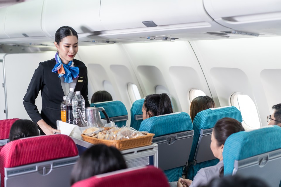 A flight attendant has revealed the £1 item they always make sure to take on a plane (stock image)