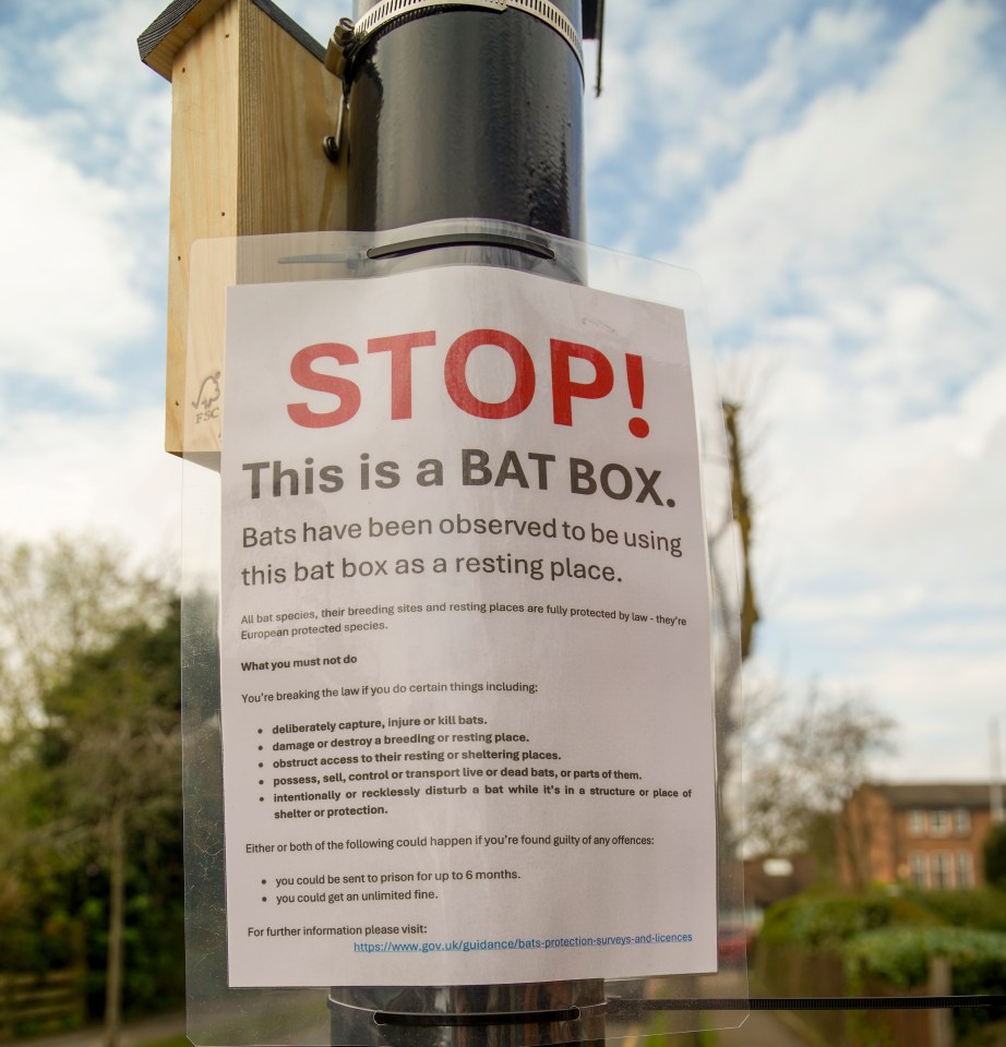 The animal homes are attached to camera poles in a bid to stop technicians fixing them