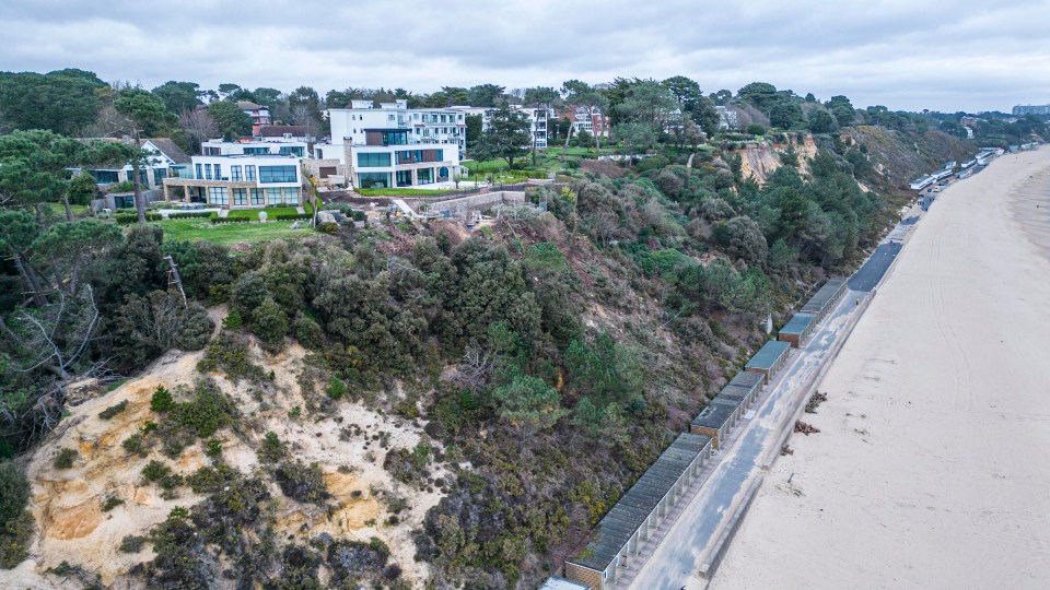 A tree expert says the trees made the cliff soil unstable