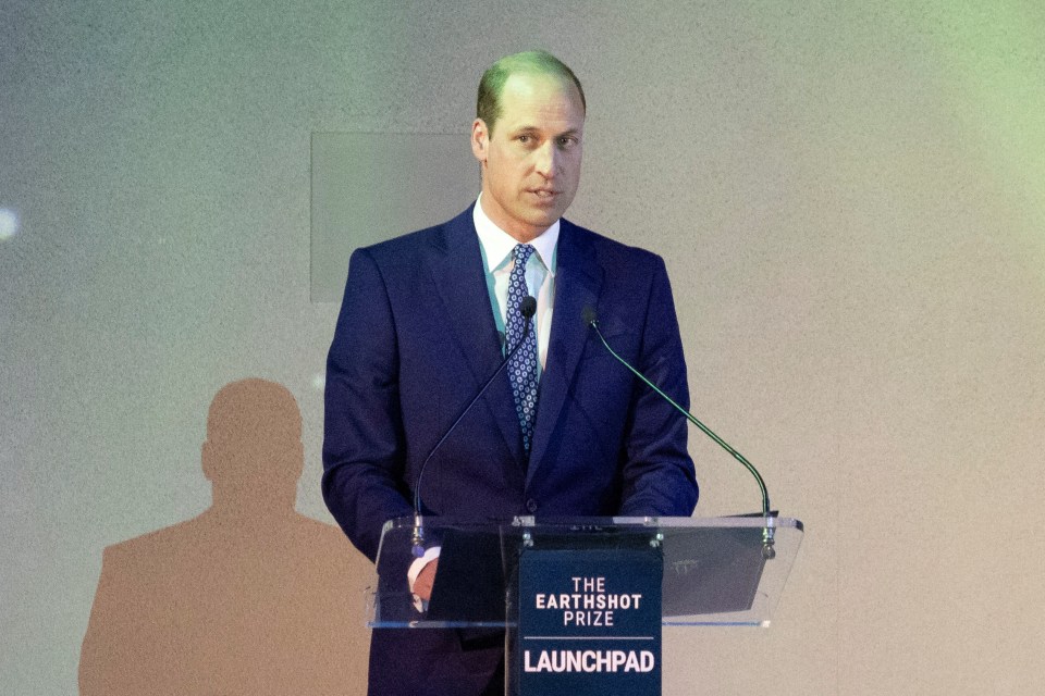 In his passionate speech, the Prince told the audience the effects of climate change mean 'we are in the critical decade now'