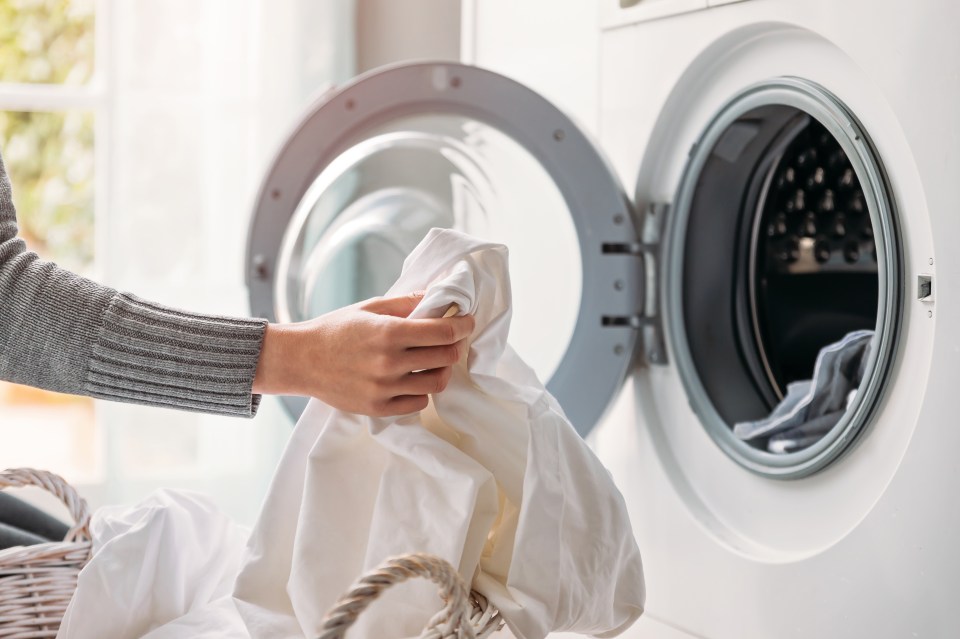 Cleaning fans have revealed how to stop you washing machines smelling damp