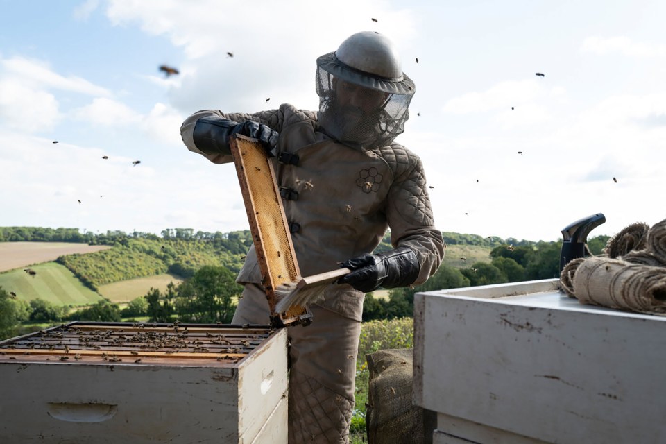 FILM STILL The Beekeeper 2024 - Jason Statham.<br />
outnow.ch