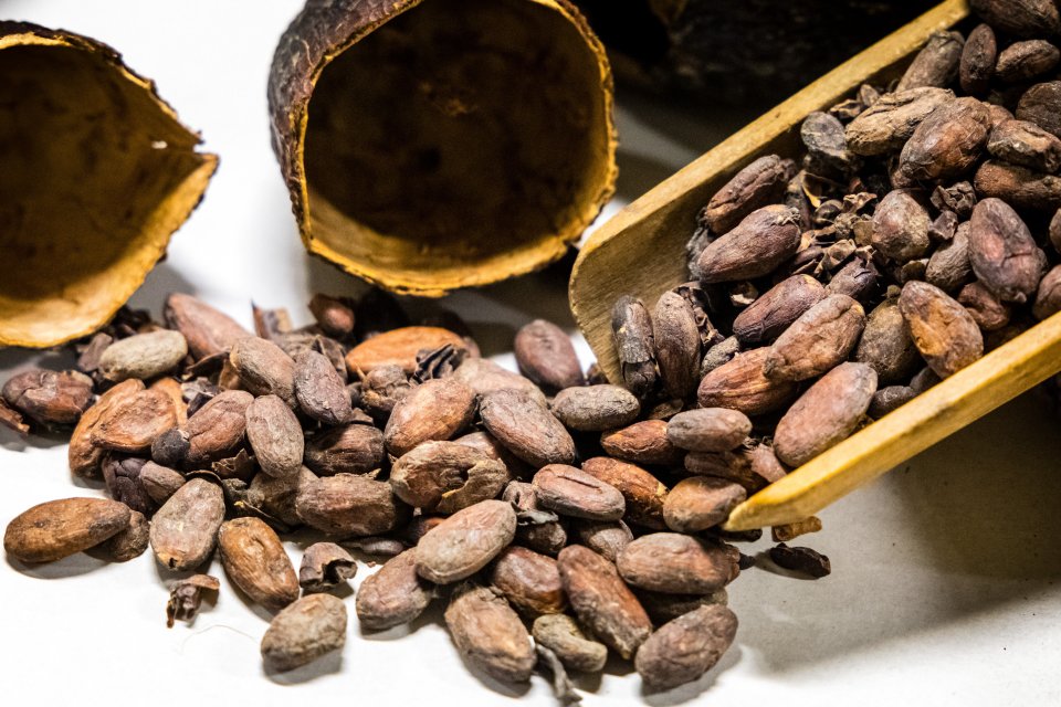 Extreme weather in West Africa's cocoa-producing countries has left experts warning the cheap chocolate era 'is over'