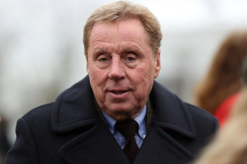 Harry Redknapp has dubbed the shirt the 'worst own goal ever'