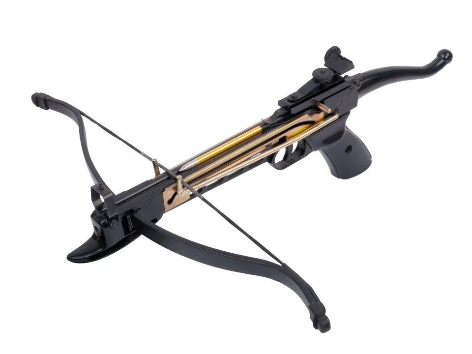 Yvette Cooper is set to consider a review into the laws on crossbow ownership