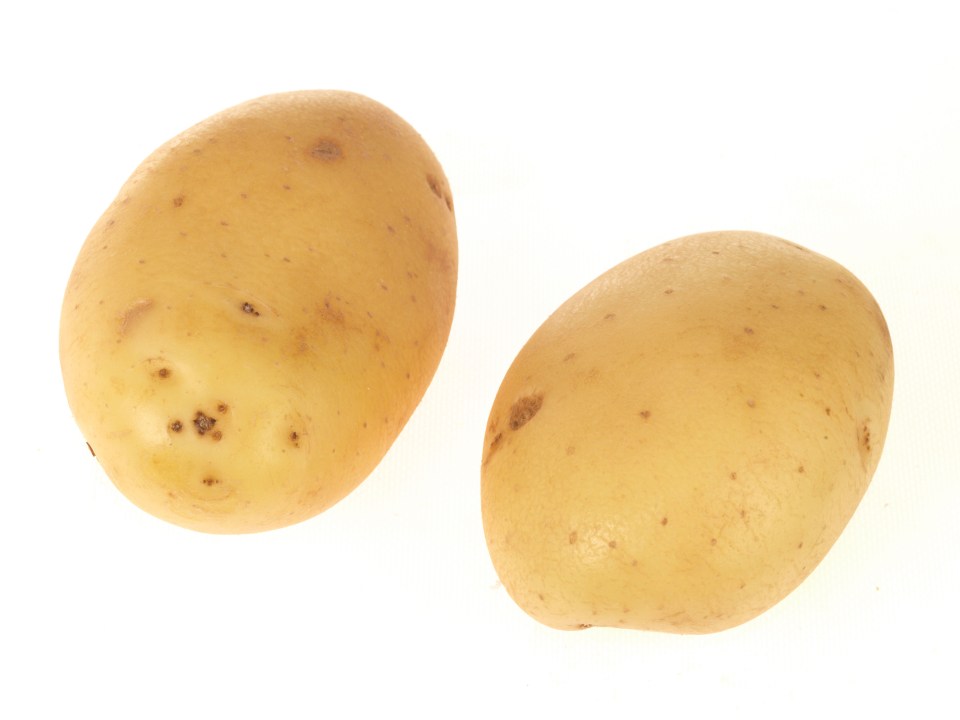 Scientists are altering the genes of potatoes so they cook as fast as pasta and rice