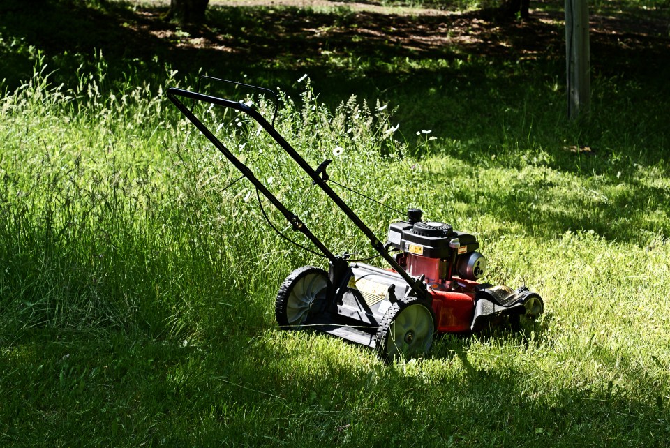 Anyone thinking of mowing their lawn this weekend should reconsider