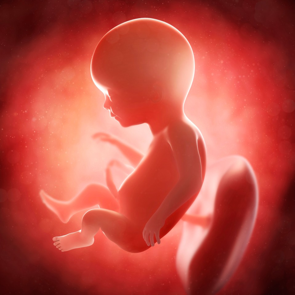 UK law prevents tampering with foetuses after 22 weeks of pregnancy (stock image)