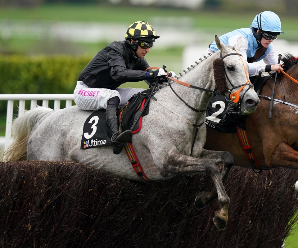 Highland Hunter, left, ran in today's Ultima Handicap