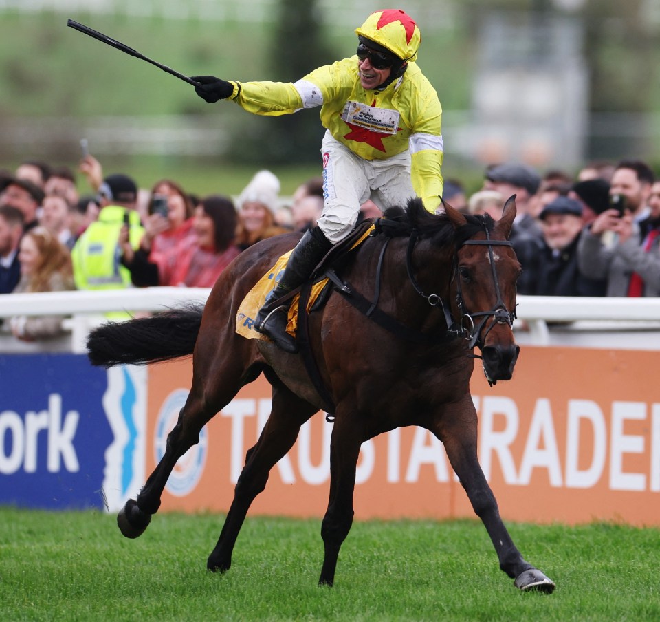 Our man Chappers fancies Protektorat in the Paddy Power Gold Cup