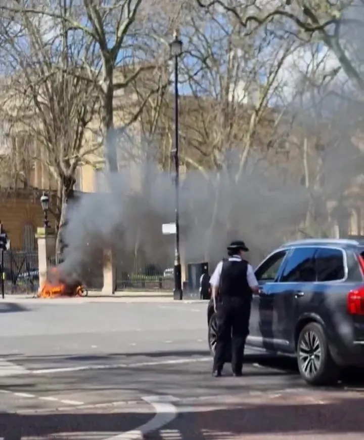 A police officer stands a safe distance from the fire