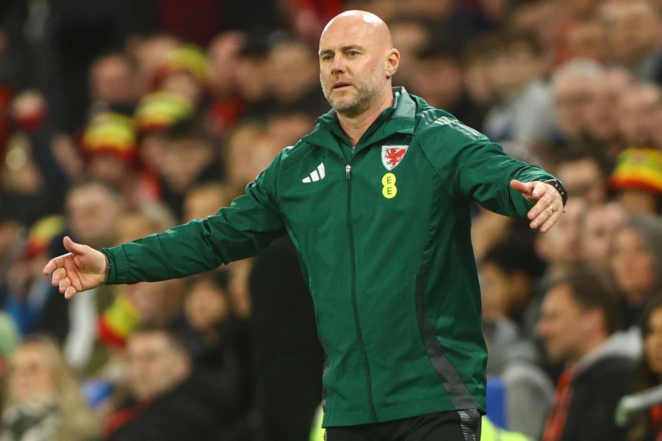 Wales boss Rob Page faced unbearable tension