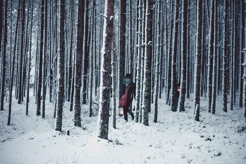 The forest is revered by locals