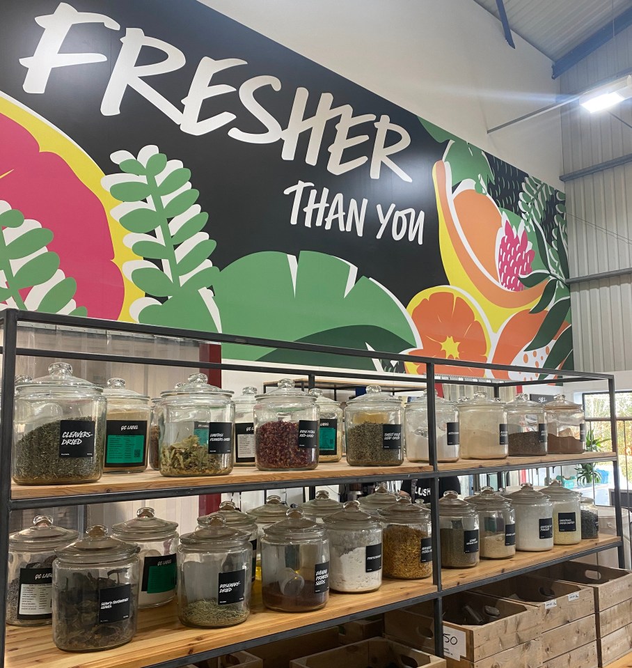 The Fresh Kitchen is home to hundreds of fresh ingredients