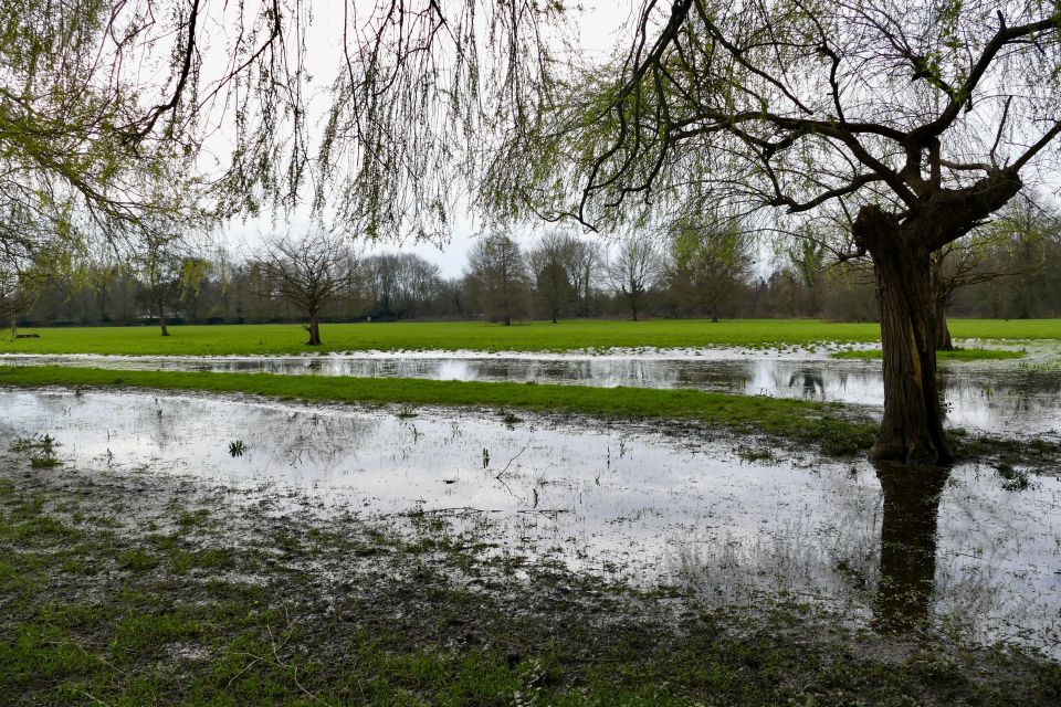 Fields in Marsh Meadows, Oxfordshire, flooded on March 14