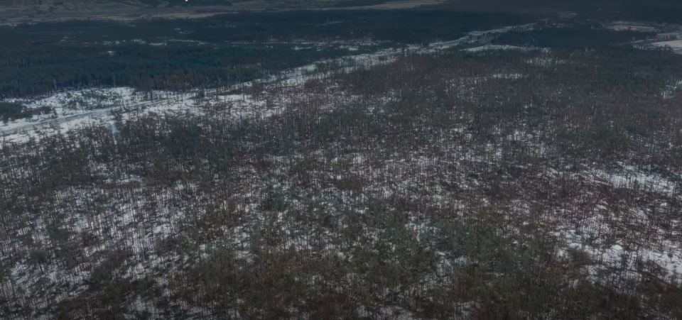 The footage was filmed in the Kupyansk forest