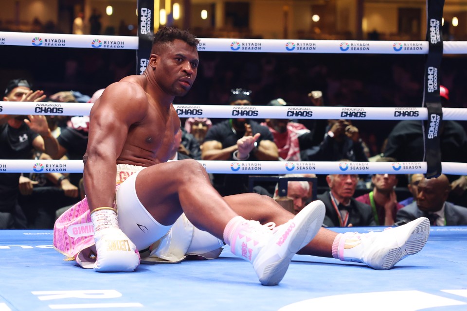 Francis Ngannou insists his boxing days aren't over