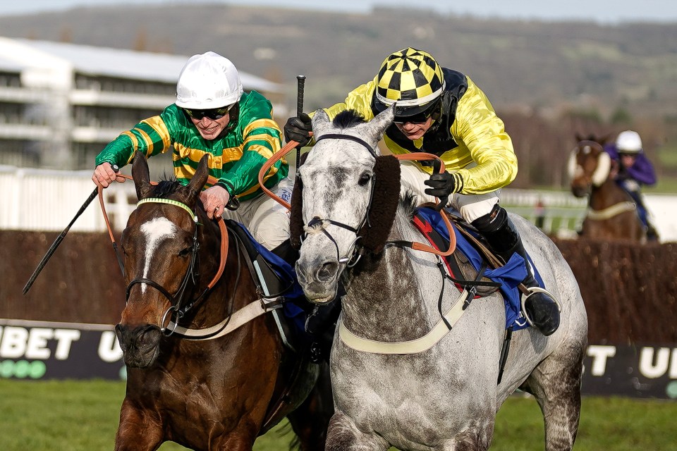 Almost 250,000 race-goers will attend the four-day Gloucestershire spectacle