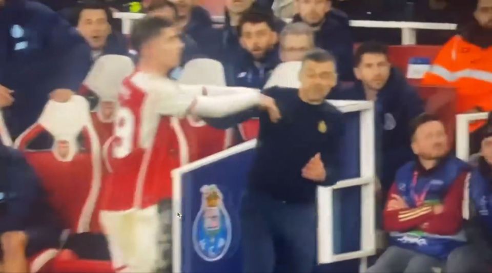 He shoved the Porto manager when near the touchline