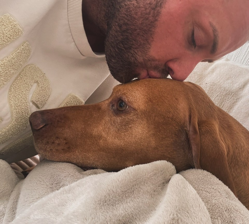 He is now mourning the loss of his beloved pet pooch named Harley